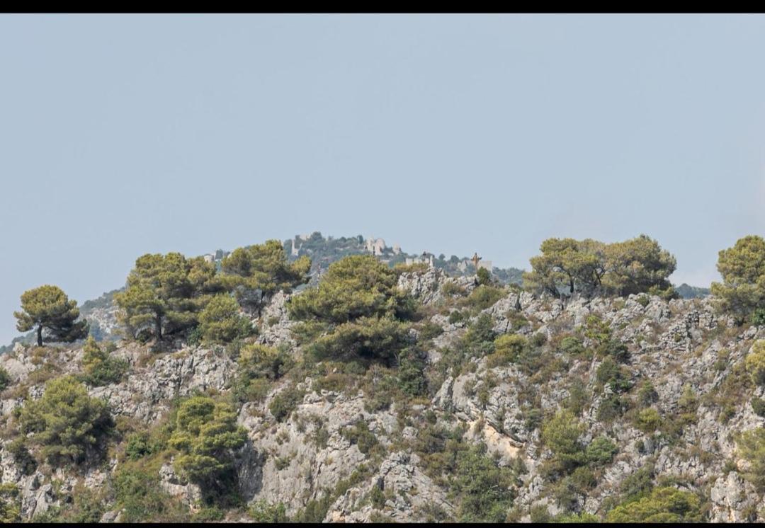 Domaine Luna Estella Tourrette-Levens Dış mekan fotoğraf